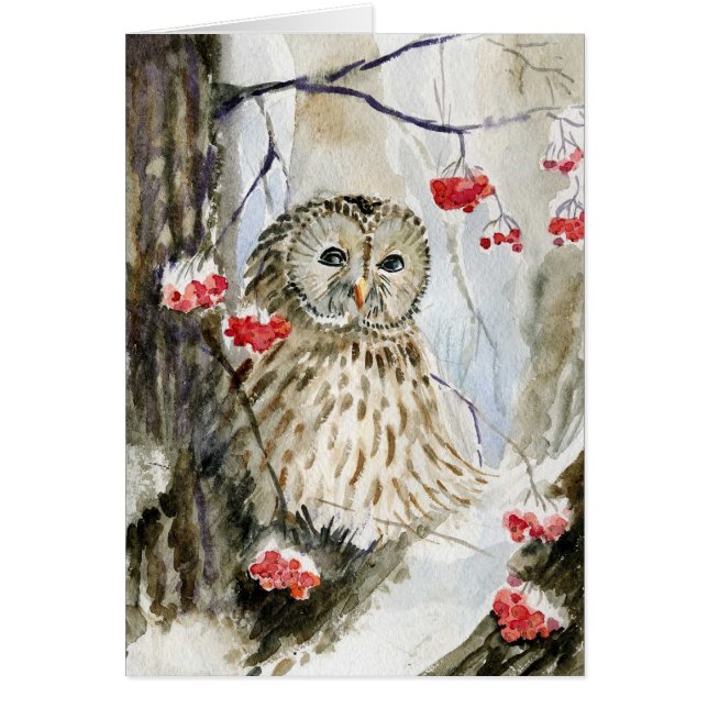 Hiver de neige de hibou barré (Devant)
