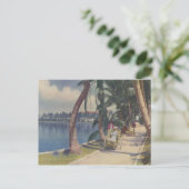 Hiver en Floride, 1908 Carte postale (Debout devant)