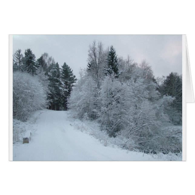 hiver joie route enneigée estonie (Devant horizontal)