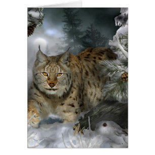 Hiver Lynx