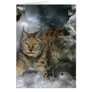 Hiver Lynx