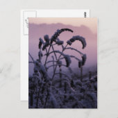 Hiver, Norfolk, Angleterre - Carte postale (Devant / Derrière)