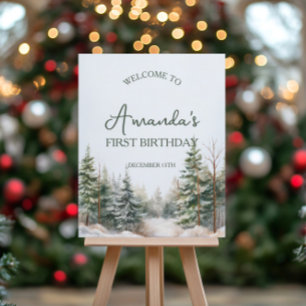 Hiver Onederland Affiche de bienvenue d'anniversai