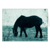 Hiver Percheron (Devant horizontal)