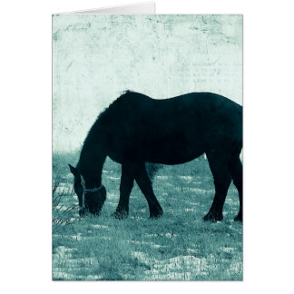 Hiver Percheron