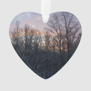 Hiver Sunrise I Pastel Paysage naturel