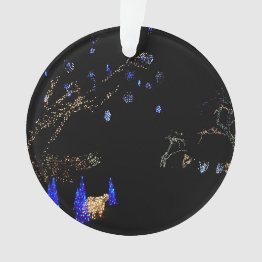 Hiver Wonderland Lumières Bleu et blanc Vacances (devant)