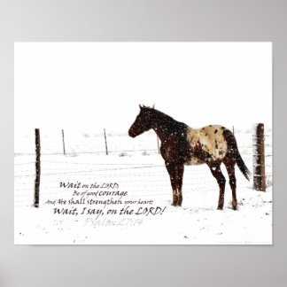 Hivernal Horse & Ecriture Poster 11x14 Matte