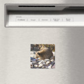 Hivernal Raccoon ~ aimant (In Situ (Lave-vaisselle))