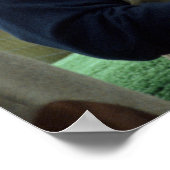 HM King Constantine II of Greece Poster (Hoek)