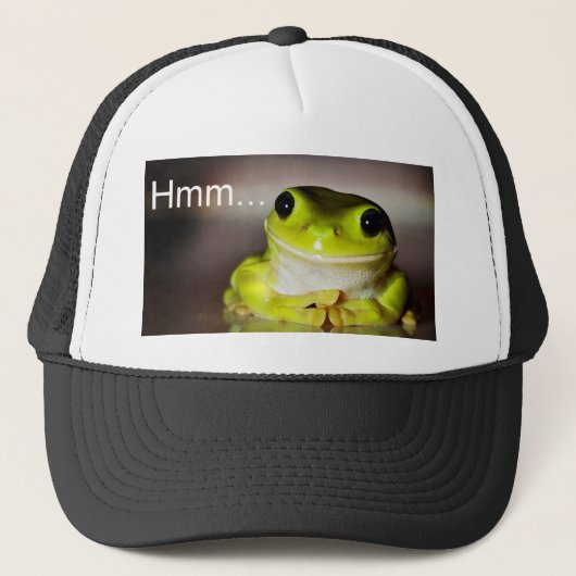 Hmm Frog Trucker Pet (Voorkant)