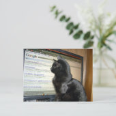 Hmmmmmm.... Briefkaart (Staand voorkant)