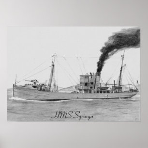 HMS Syringa-poster Poster