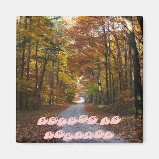 HNF Autumn Lane, HERFST IN INDIANA Magneet