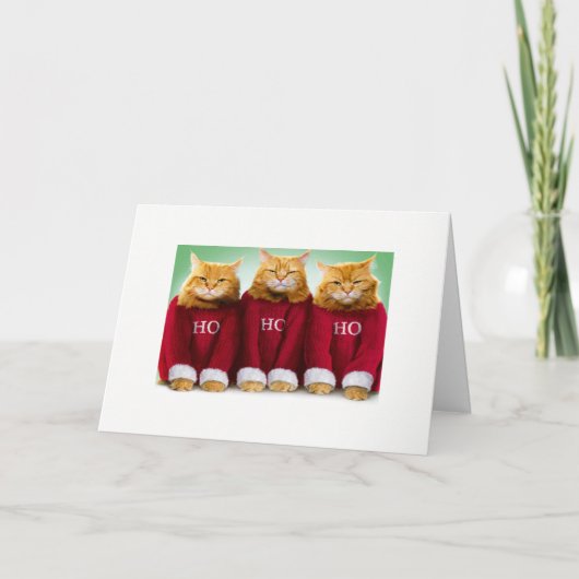 Ho Ho Ho carte de Noël de chat (Devant)