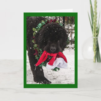 Ho Ho Ho Feestdagen Kaart