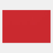 HO! HO! HO! Vakantie inpakpapier, rood en groen Inpakpapier Vel (Voorkant 2)