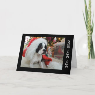 Ho! Ho! ho! Vrolijke Christmas Lola B. Boston Feestdagen Kaart