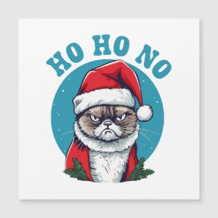 Ho ho nee - grappige chagrijnige kerstman kat