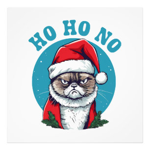 Ho ho nee - grappige chagrijnige sintel kat foto afdruk