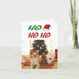 Ho Ho Santa Hat Kerstfotoscript Feestdagen Kaart
