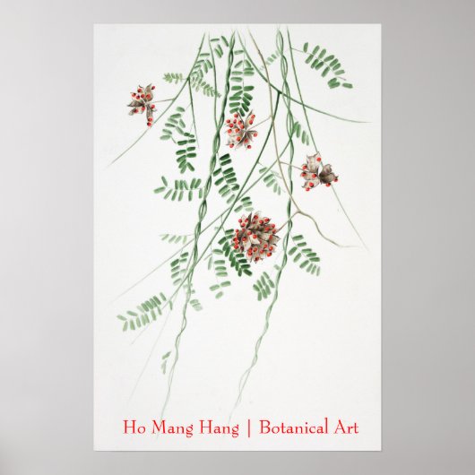 Ho Mang Hang Botanische Kunst poster 1 (Voorkant)
