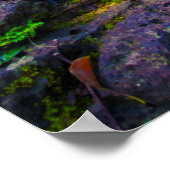 Ho"opi"i Herfsten, Blue Water, Kauai, Hawaii Poster (Hoek)