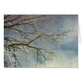 Hoar Frost, Bonne Année ! (Devant horizontal)