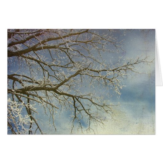 Hoar Frost, gelukkig nieuwjaar! (Voorkant Horizontaal)