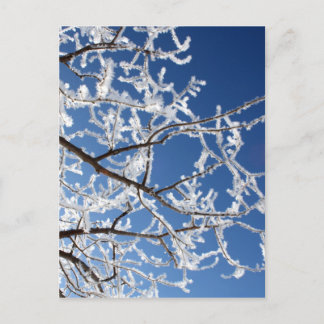 Hoarfrost bijkantoren briefkaart