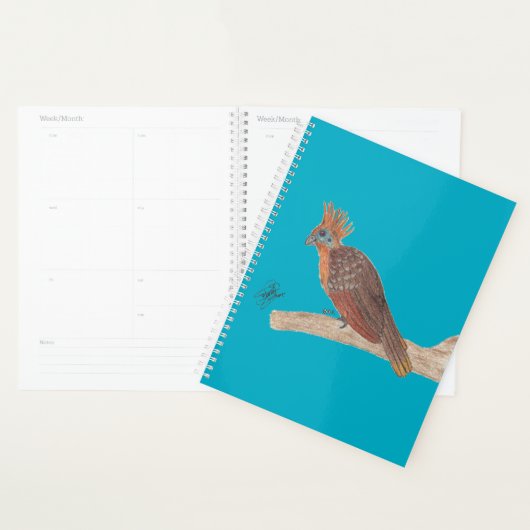 HOATZIN (Devant avec enveloppe)