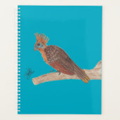 HOATZIN (Devant)