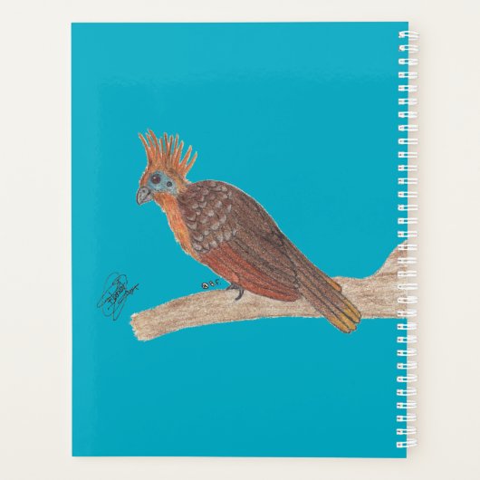 HOATZIN PLANNER (Achterkant)