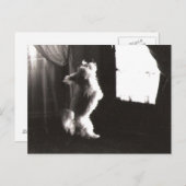 Hobbitt Briefkaart (Voorkant / Achterkant)