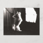 Hobbitt Briefkaart (Voorkant)