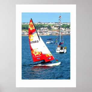 Hobie cat, Jersey Poster