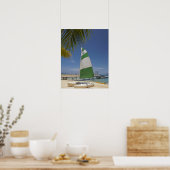 Hobie Cat, Plantation Island Resort Poster (Keuken)