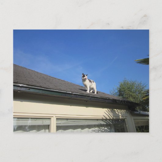 Hoch hinaus briefkaart (Voorkant)