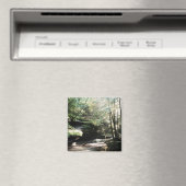 Hocking Hills Ancien aimant de la grotte (In Situ (Lave-vaisselle))