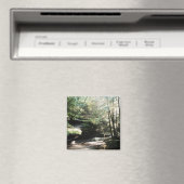 Hocking Hills Cokesmagnet van het oude man Magneet (Insitu (Vaatwasser))