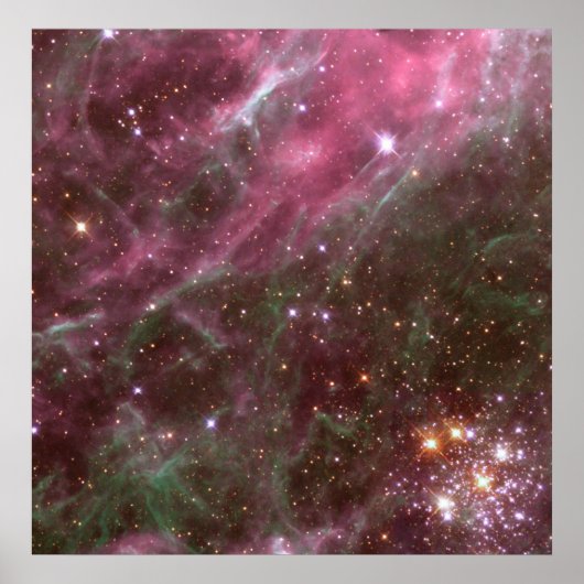 Hodge 301, Tarantula Nebula Poster (Voorkant)