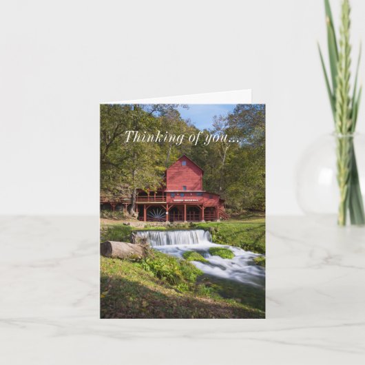 Hodgson Mill Portrait Penser À Votre Carte (Devant)