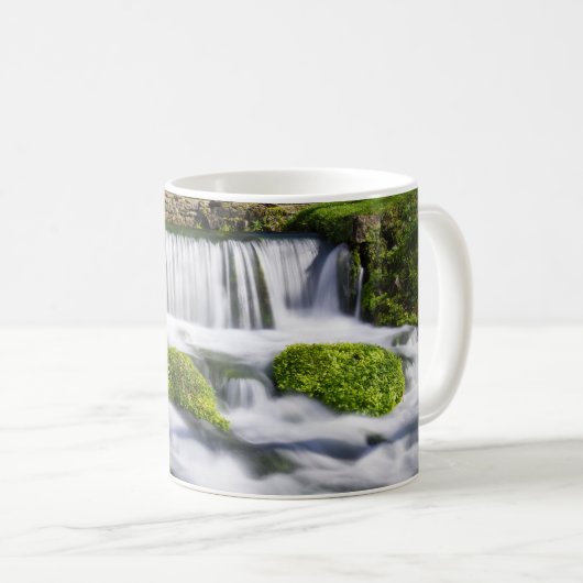 Hodgson Spring Falls Coffee Mug (Devant droit)