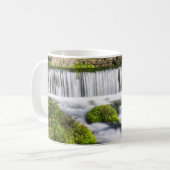 Hodgson Spring Falls Coffee Mug (Devant gauche)