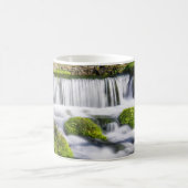 Hodgson Spring Falls Coffee Mug (Centre)