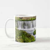 Hodgson Spring Falls Coffee Mug (Gauche)