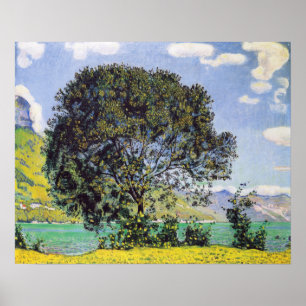 Hodler - Boom bij Brienzersee 1906 Poster