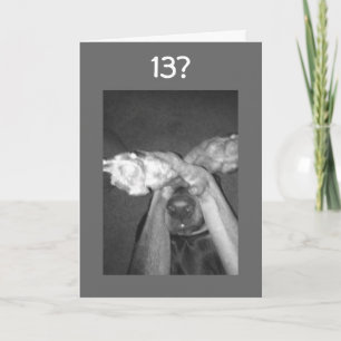 HOE BEN JE ZO SNEL "13" GEWORDEN VERJAARDAG KAART