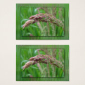 Hoe de gras Bladwijzer groeit Visitekaartjes (Voorkant /achterkant)