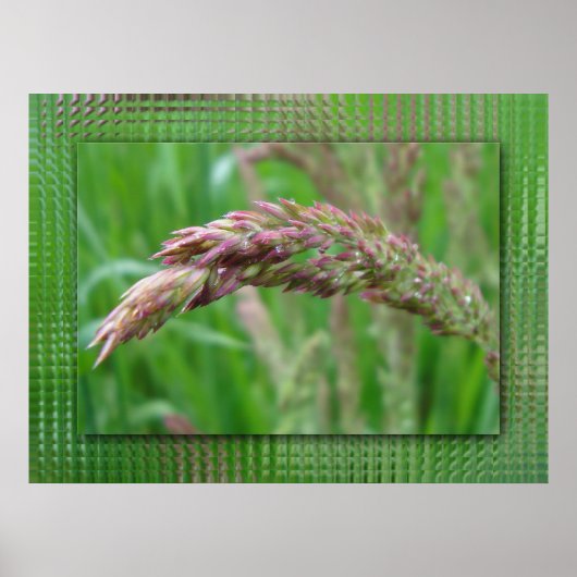 Hoe de gras drukt poster (Voorkant)